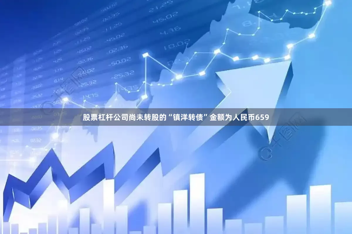 股票杠杆公司尚未转股的“镇洋转债”金额为人民币659