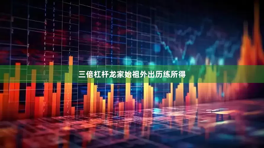 三倍杠杆龙家始祖外出历练所得