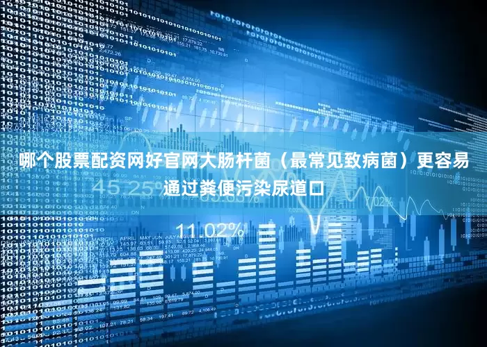 哪个股票配资网好官网大肠杆菌（最常见致病菌）更容易通过粪便污染尿道口