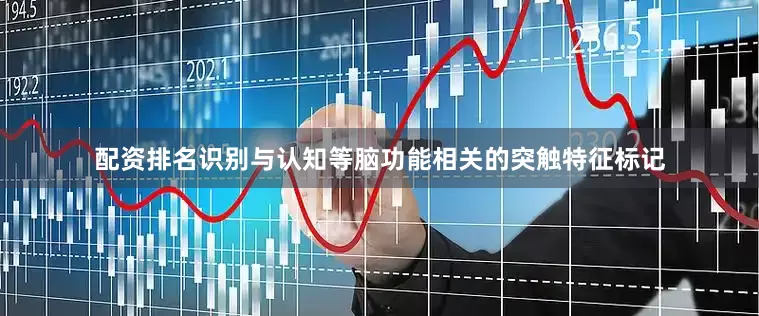 配资排名识别与认知等脑功能相关的突触特征标记