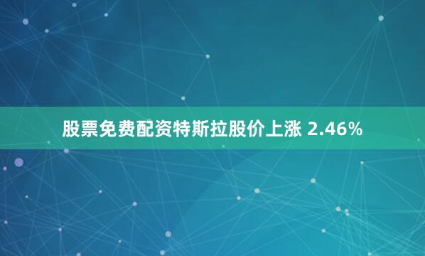 股票免费配资特斯拉股价上涨 2.46%